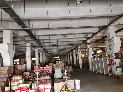 深圳市工厂楼板承重检测出具规范报告